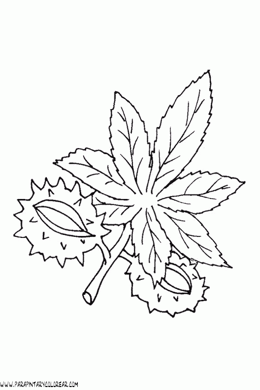 dibujos-para-colorear-de-hojas-de-arboles-011.gif