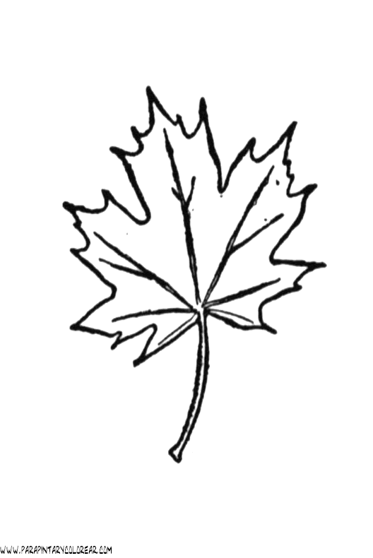 dibujos-para-colorear-de-hojas-de-arboles-023.gif