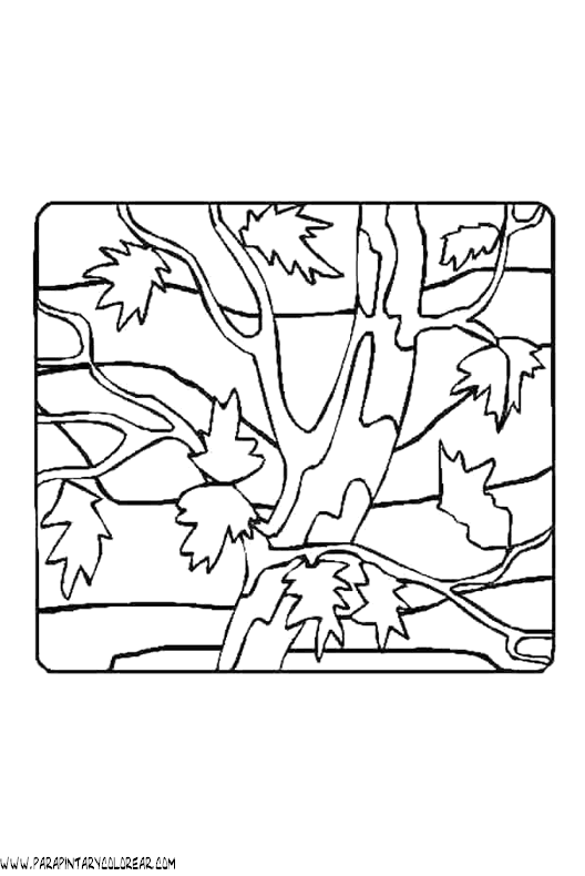 dibujos-para-colorear-de-hojas-de-arboles-024.gif