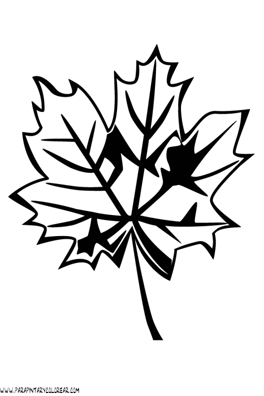 dibujos-para-colorear-de-hojas-de-arboles-026.gif