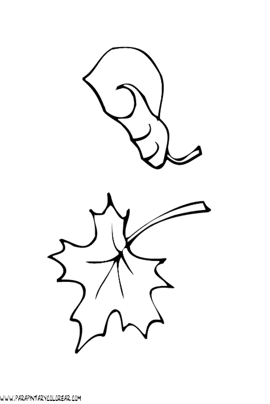 dibujos-para-pintar-de-hojas-de-arboles-002.gif