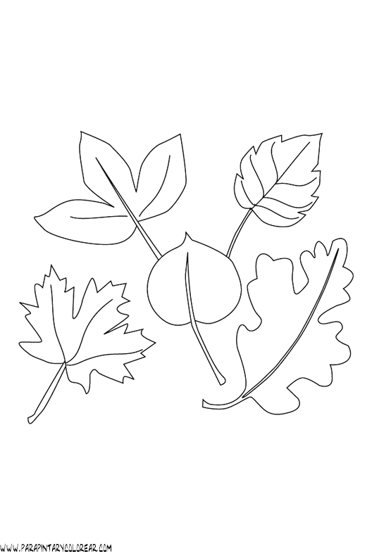 dibujos-para-pintar-de-hojas-de-arboles-007.gif
