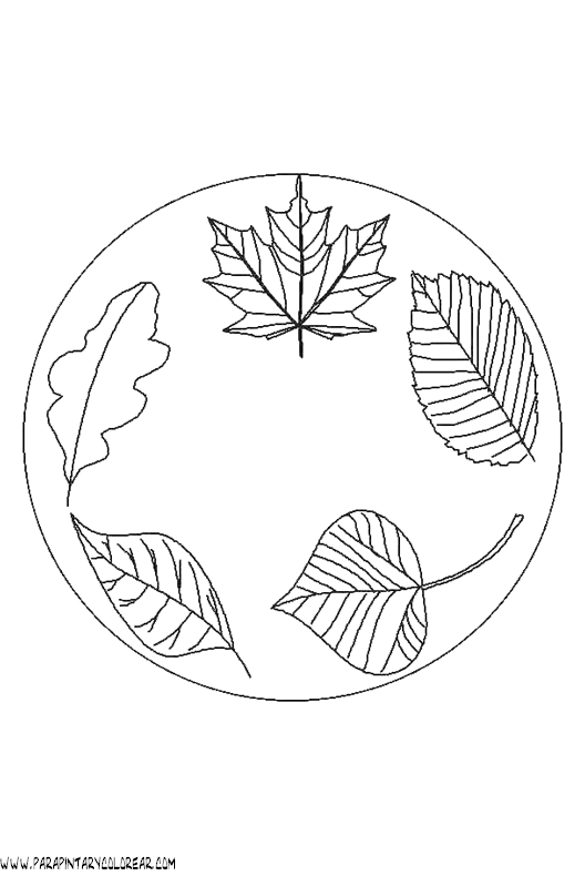 dibujos-para-pintar-de-hojas-de-arboles-017.gif