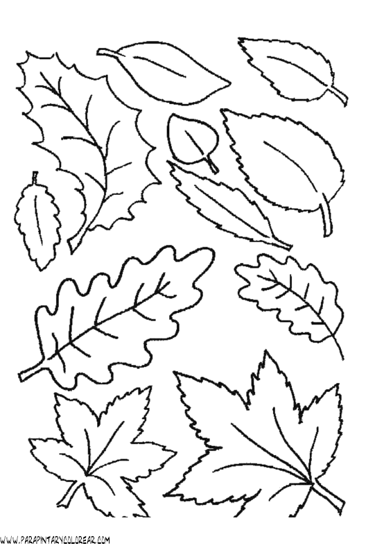 dibujos-para-pintar-de-hojas-de-arboles-022.gif