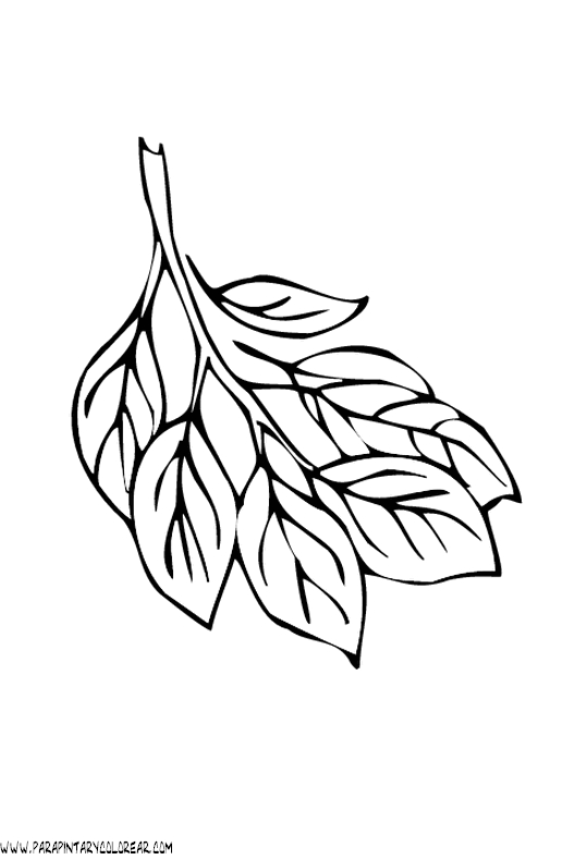 dibujos-para-pintar-de-hojas-de-arboles-025.gif