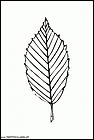 dibujos-para-colorear-de-hojas-de-arboles-002.gif