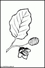 dibujos-para-colorear-de-hojas-de-arboles-003.gif