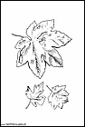 dibujos-para-colorear-de-hojas-de-arboles-004.gif