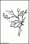 dibujos-para-colorear-de-hojas-de-arboles-014.gif