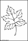 dibujos-para-colorear-de-hojas-de-arboles-018.gif