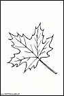 dibujos-para-colorear-de-hojas-de-arboles-021.gif