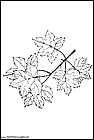 dibujos-para-colorear-de-hojas-de-arboles-025.gif