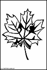 dibujos-para-colorear-de-hojas-de-arboles-026.gif