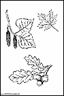 dibujos-para-pintar-de-hojas-de-arboles-013.gif