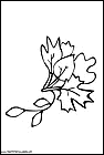 dibujos-para-pintar-de-hojas-de-arboles-021.gif