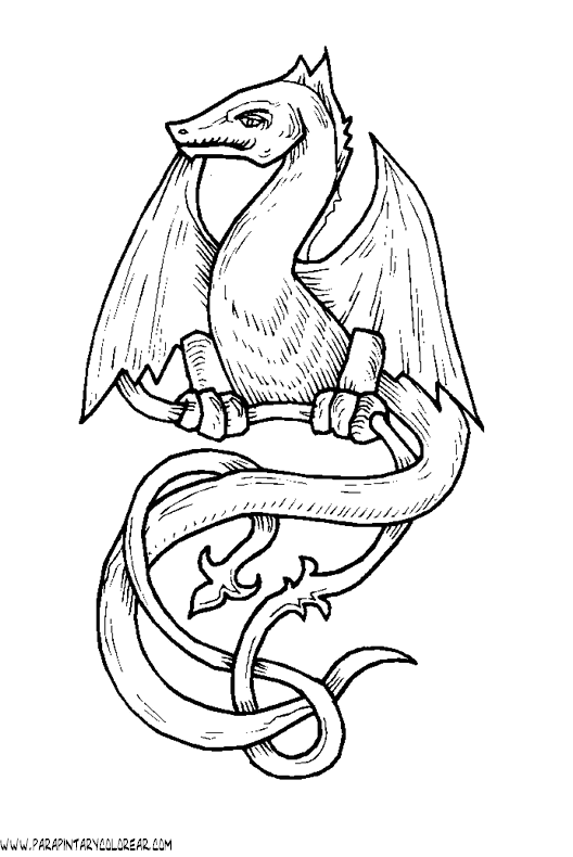 dibujos-de-dragones-008.gif