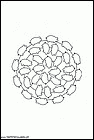 dibujos-mandalas-dibujos-072.gif