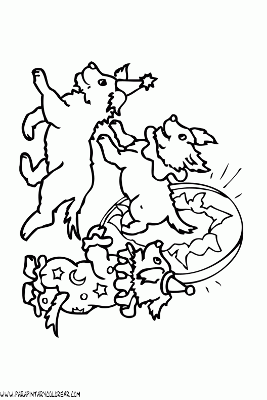 dibujos-para-colorear-del-circo-animales-043.gif