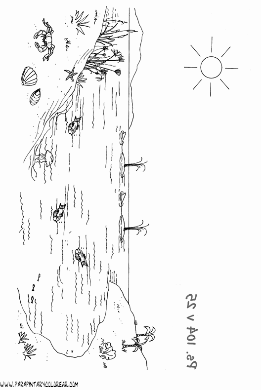 dibujos-de-la-biblia-para-colorear-075.gif
