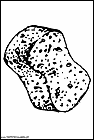 dibujos-para-colorear-de-bob-esponja-123.gif