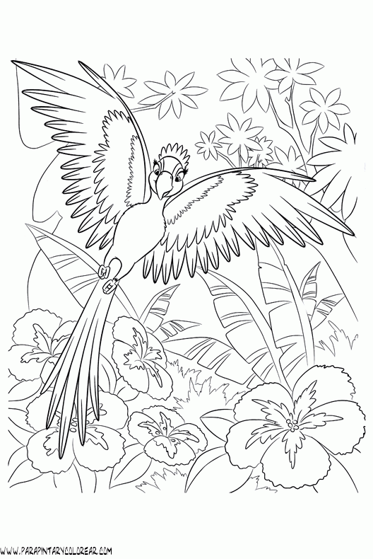 dibujos-para-colorear-de-angry-birds-044.gif